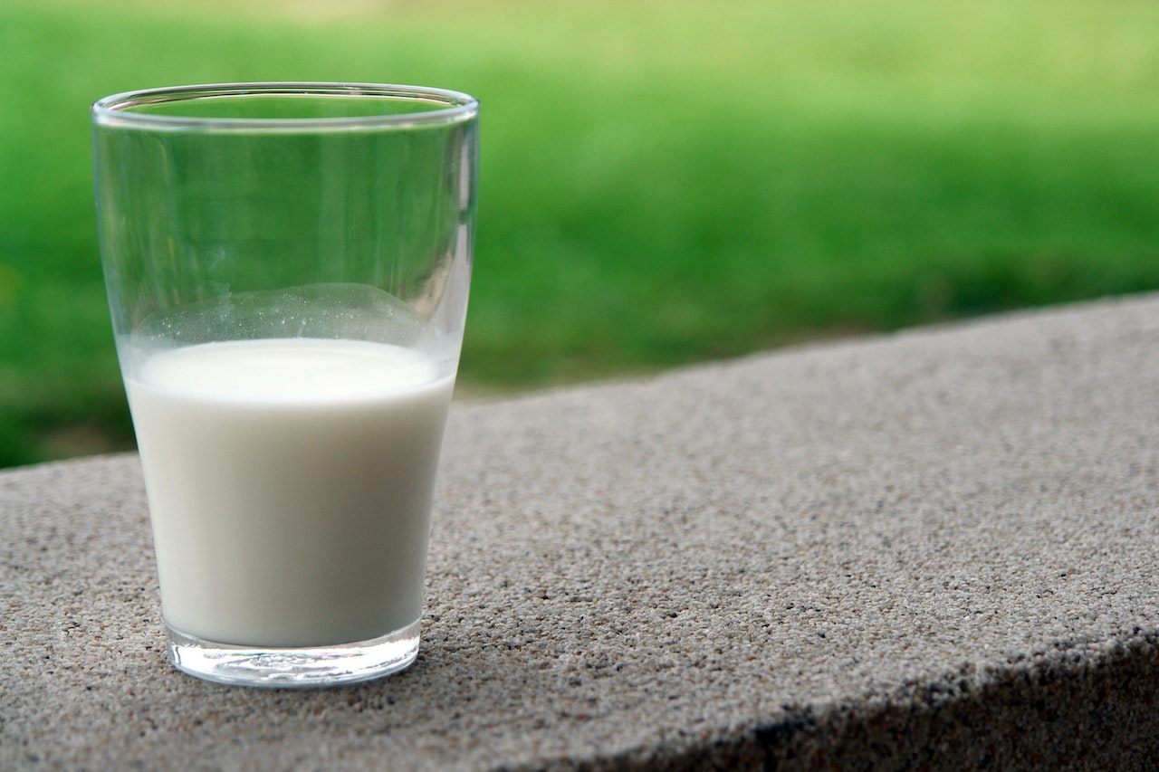 lait de chamelle nutritif, lait de chamelle, lait de chamelle vs lait de vache, alternative au lait de vache