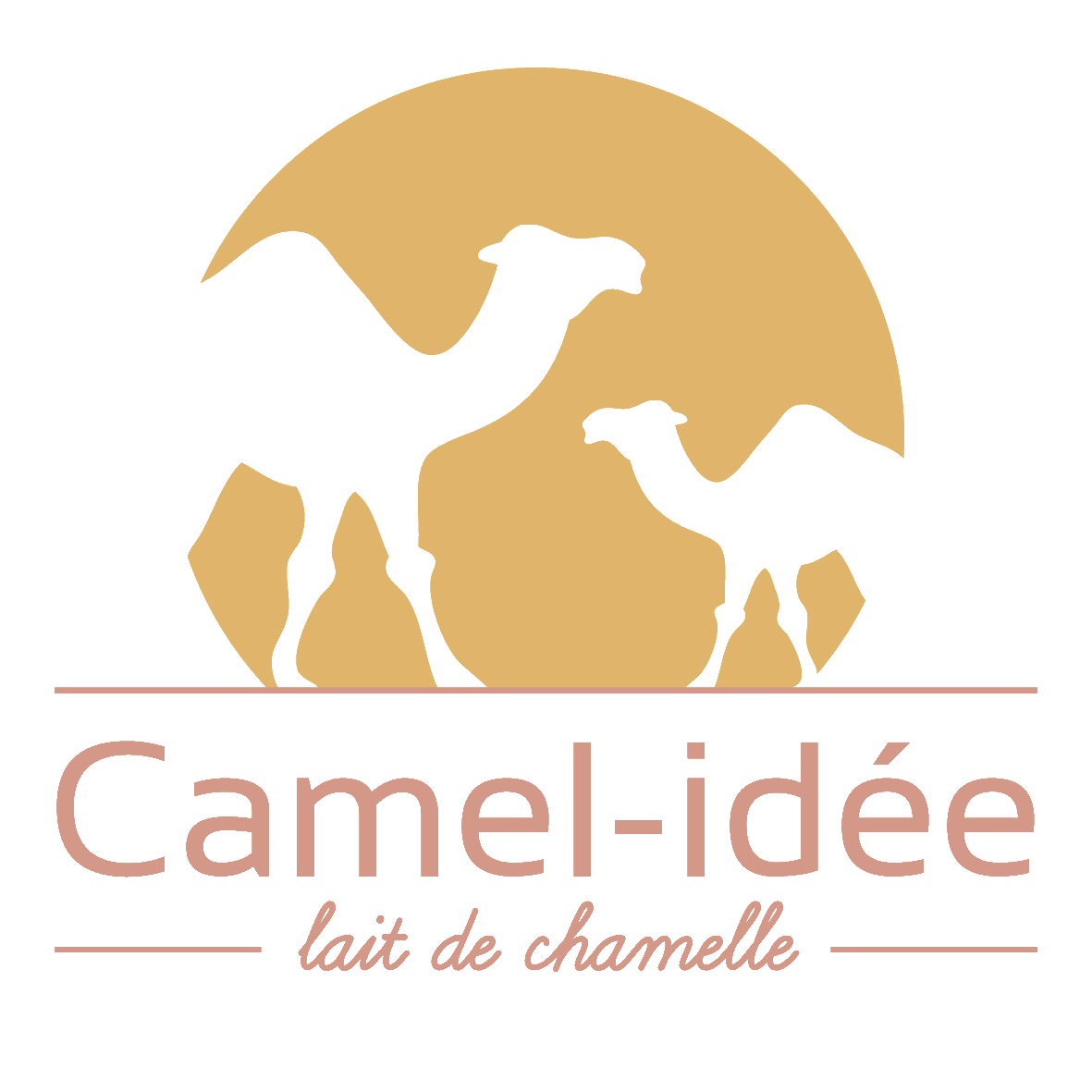 CAMEL-IDEE
