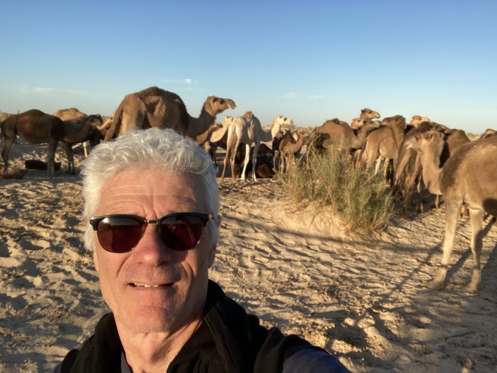 Fabrice et les chameaux